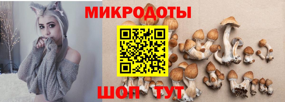 Галлюциногенные грибы мицелий  Вход с VPN  Псилоцибиновые грибы Psilocybe  Всеволожск 